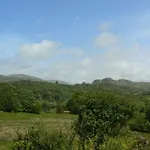 Pensjonat Forest