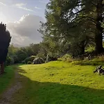 Forest Gæstehus 2*