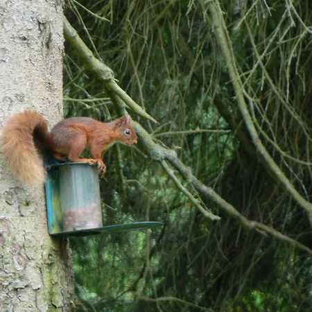 豪依森林宾馆 招待所 2*