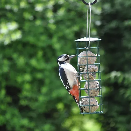 豪依森林宾馆 2* 埃斯克代尔