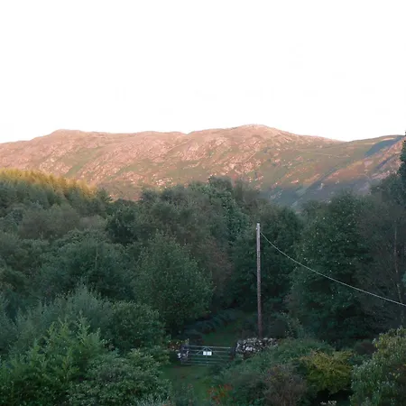 Forest How Eskdale
