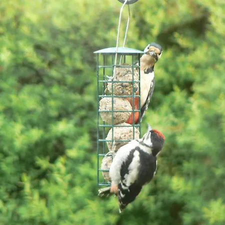 Forest How Guest house Eskdale