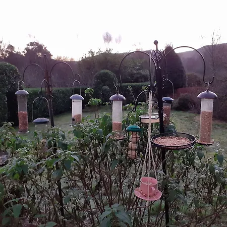 豪依森林宾馆 埃斯克代尔