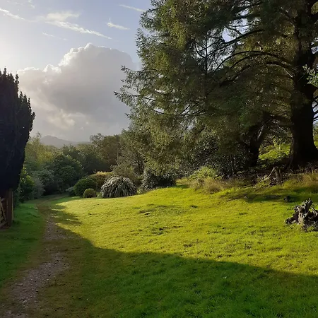 豪依森林宾馆 招待所 2*