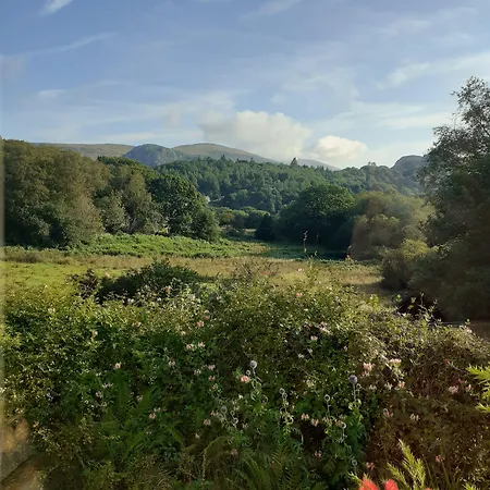 Forest 2* Eskdale