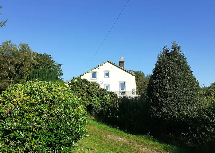 Guest house Forest How 2*