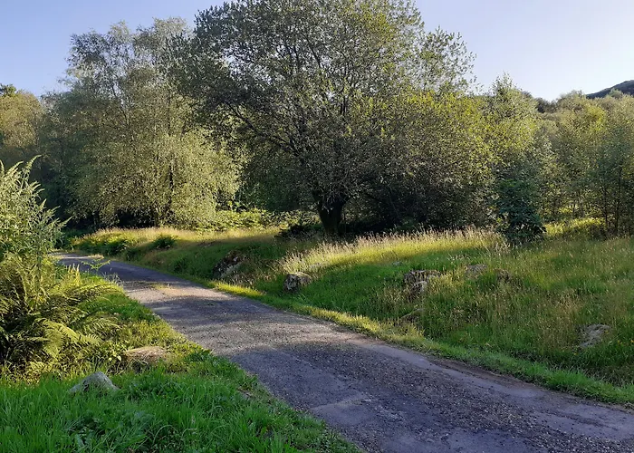 Guest house Forest How