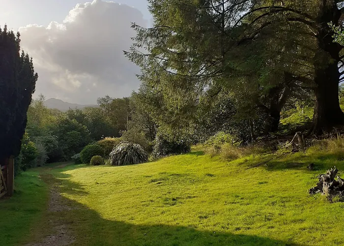 Forest How Guest house 2*