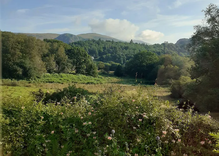 Forest How 2* Eskdale