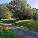 Konukevi Forest